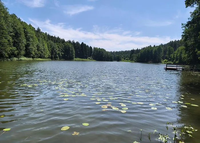 Dom Nad Jeziorem Tatil Evi *